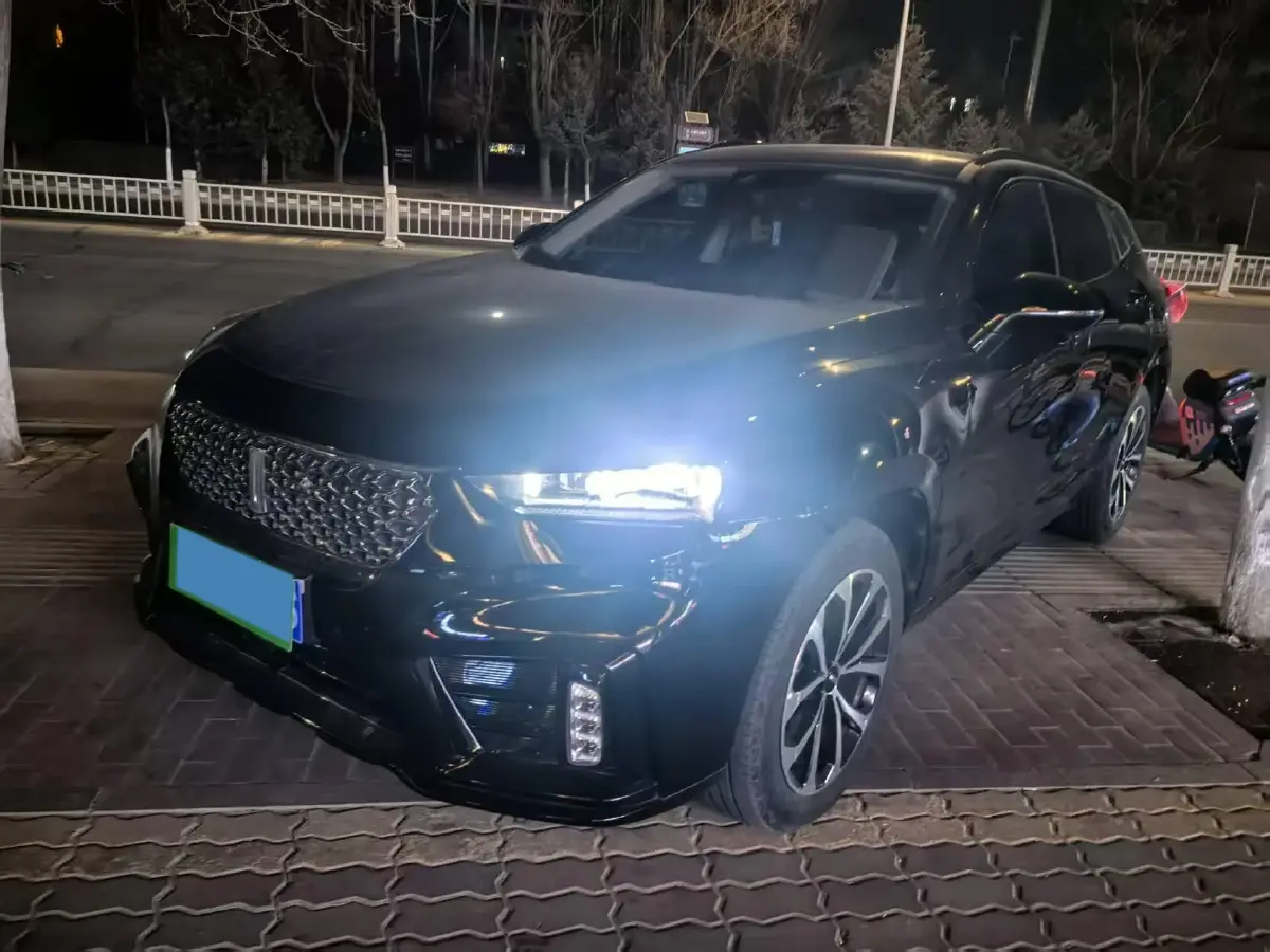 2020 WEY VV7 2.0T 227HP L4 7DCT