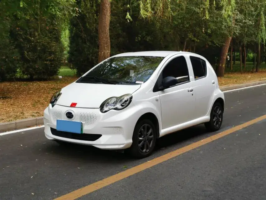 2019 BYD e1 BEV 32.2KWH