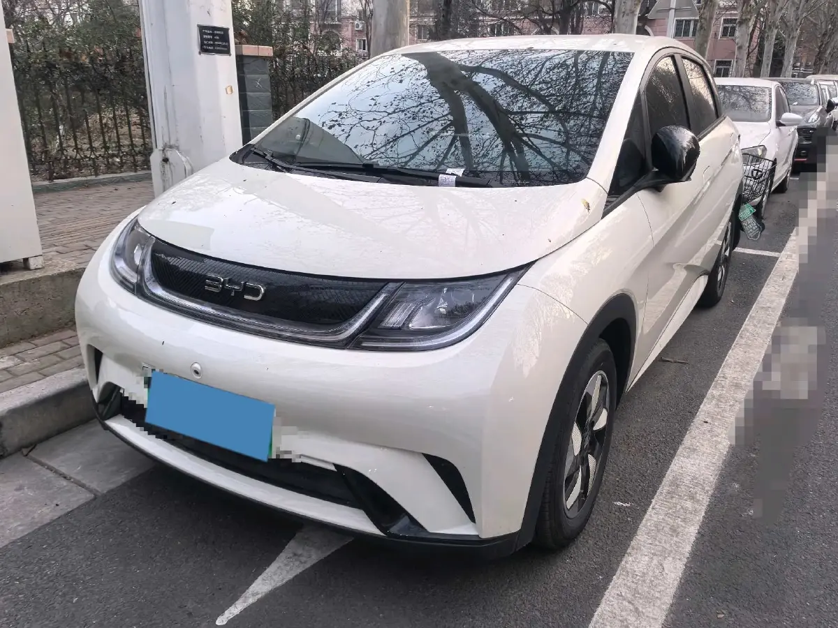 2025 BYD Dolphin BEV 44.928KWH