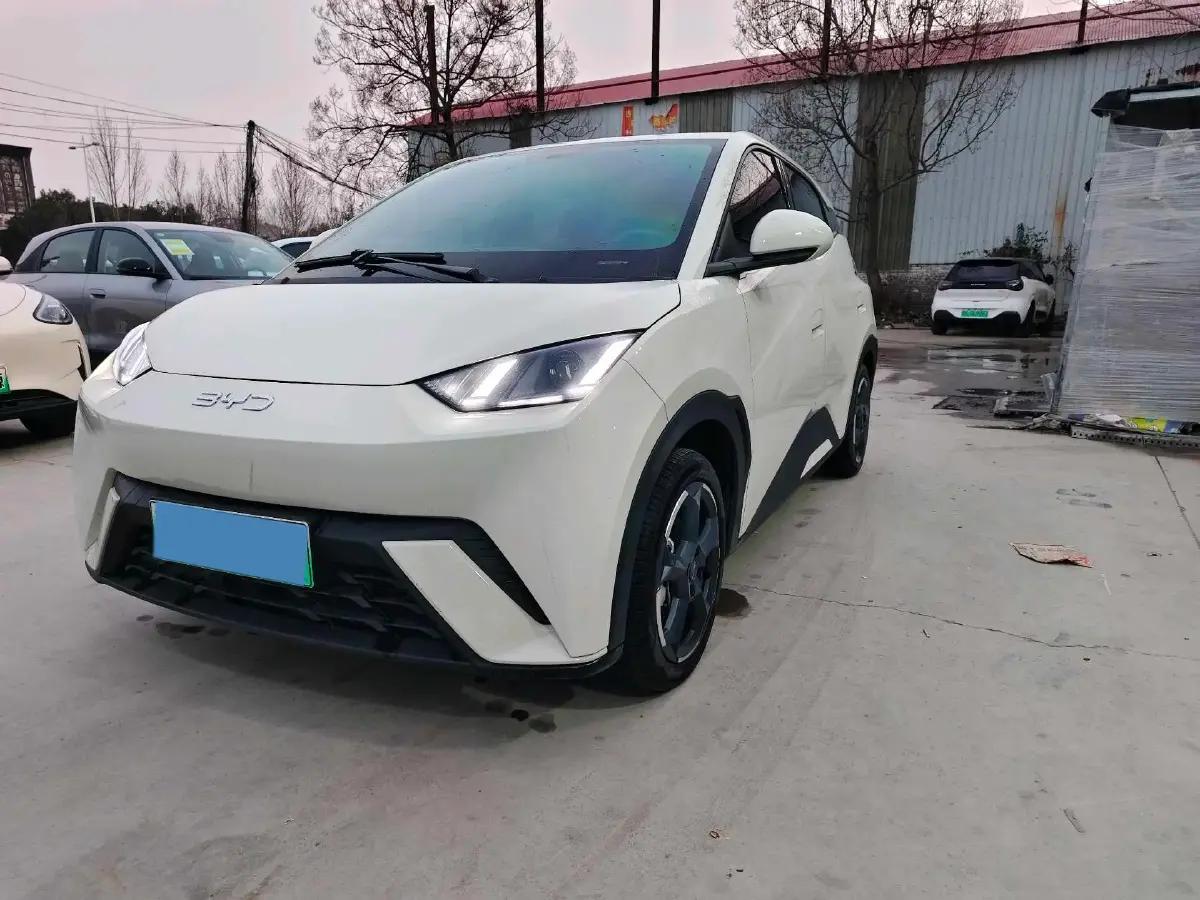 2023 BYD Seagull BEV 30.08KWH