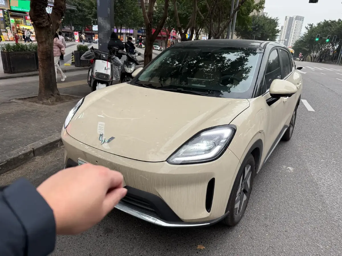 2025 WuLing BinGuo BEV