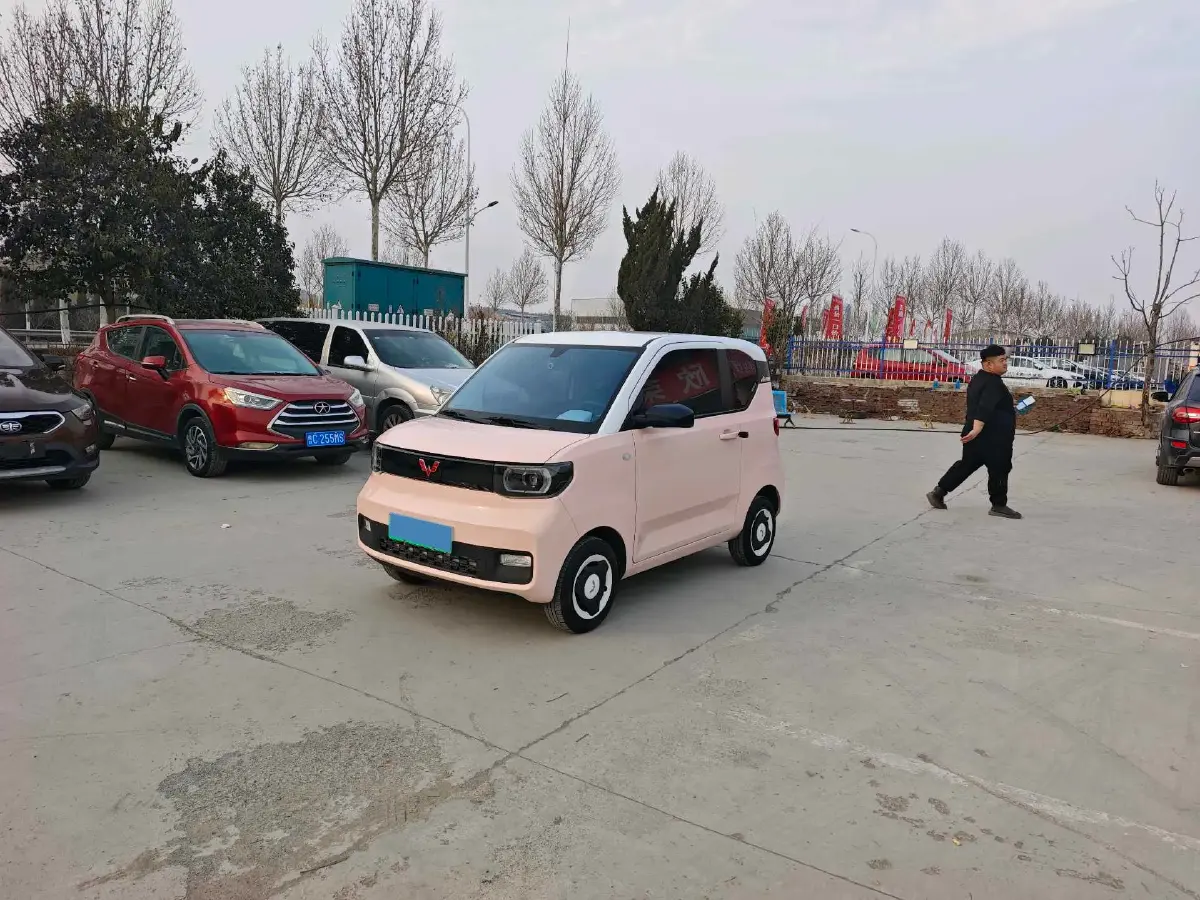 2020 WuLing HongGuang MINI EV BEV 9KWH