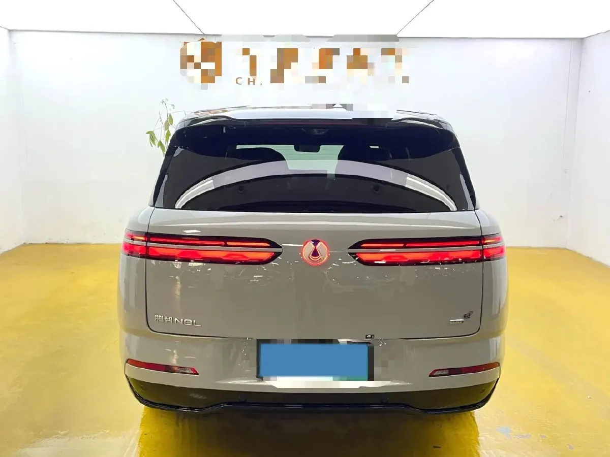 2025 Denza DenzaN8L 2.0T 207HP L4 E-CVT PHEV,autocango,china used car exporter,china ev exporter,chinese used car exporter,chinese used ev exporter