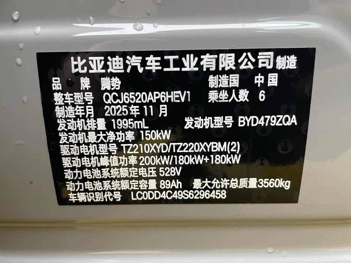 2025 Denza DenzaN8L 2.0T 207HP L4 E-CVT PHEV,autocango,china used car exporter,china ev exporter,chinese used car exporter,chinese used ev exporter