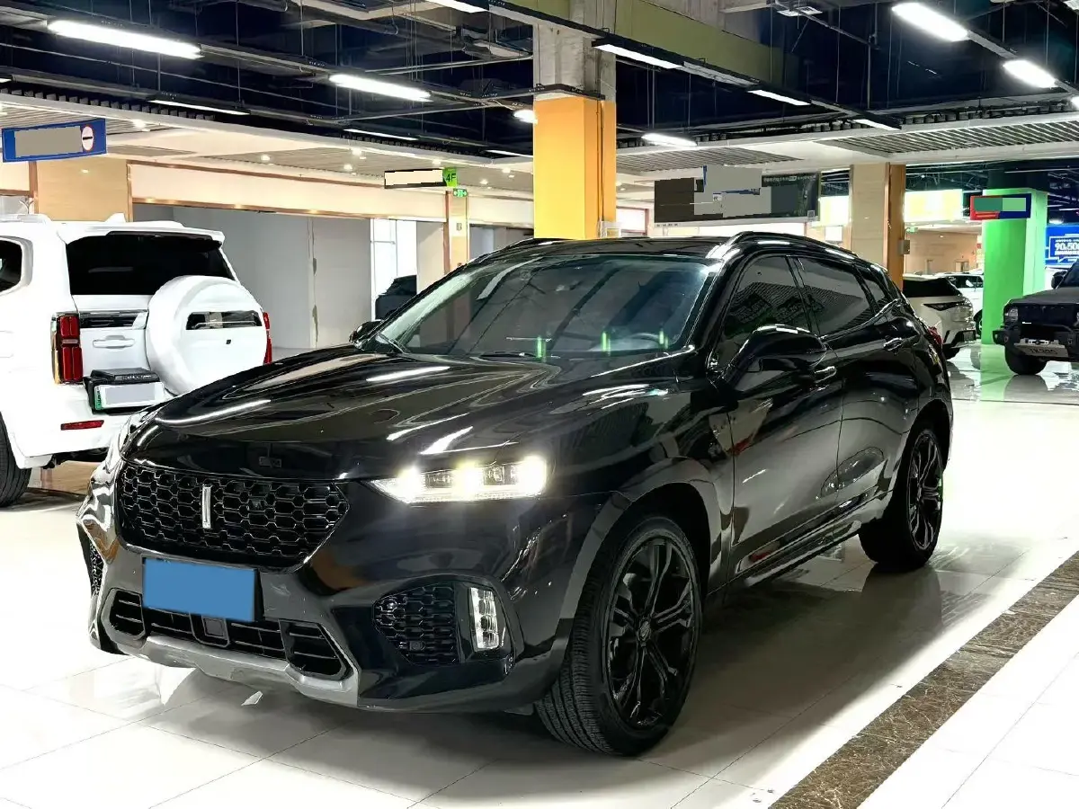 2019 WEY VV7 2.0T 234HP L4 7DCT