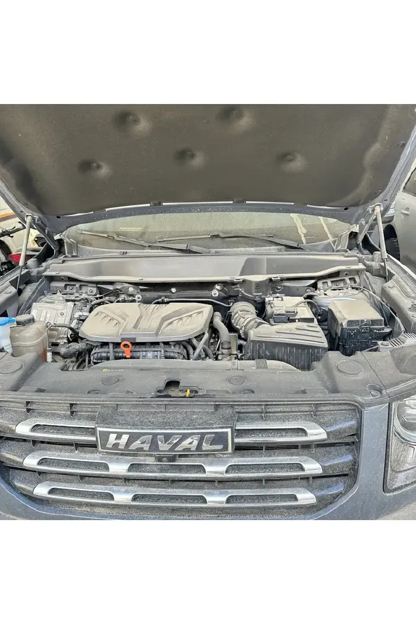 2021 Haval Dargo 2.0T 211HP L4 7DCT,autocango,china used car exporter,china ev exporter,chinese used car exporter,chinese used ev exporter