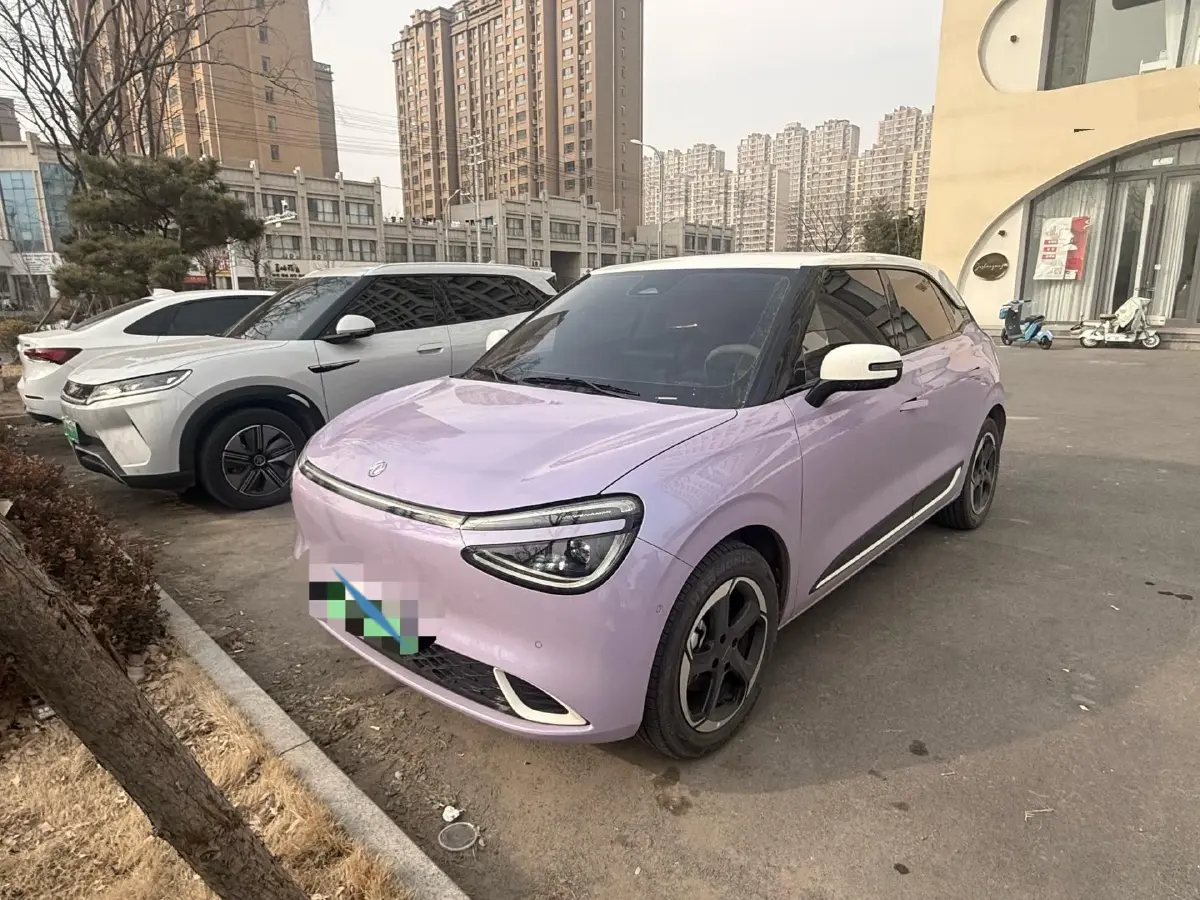 2024 DongFeng Nammi 01 BEV 42.3KWH