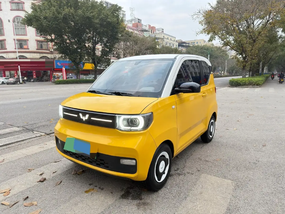 2020 WuLing HongGuang MINI EV BEV 13.8KWH