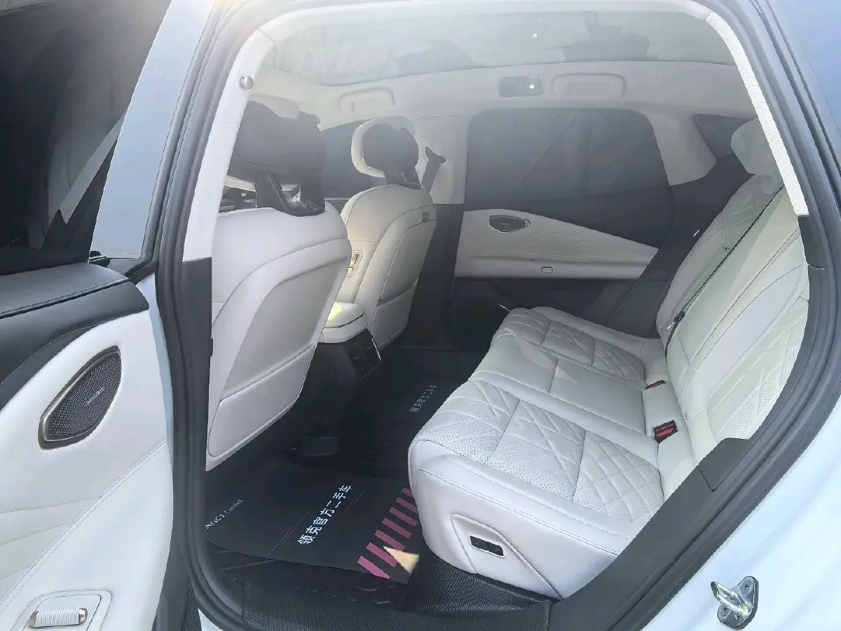 2025 LYNK&CO 10 EM-P 1.5T 163HP L4 3DHT PHEV,autocango,china used car exporter,china ev exporter,chinese used car exporter,chinese used ev exporter