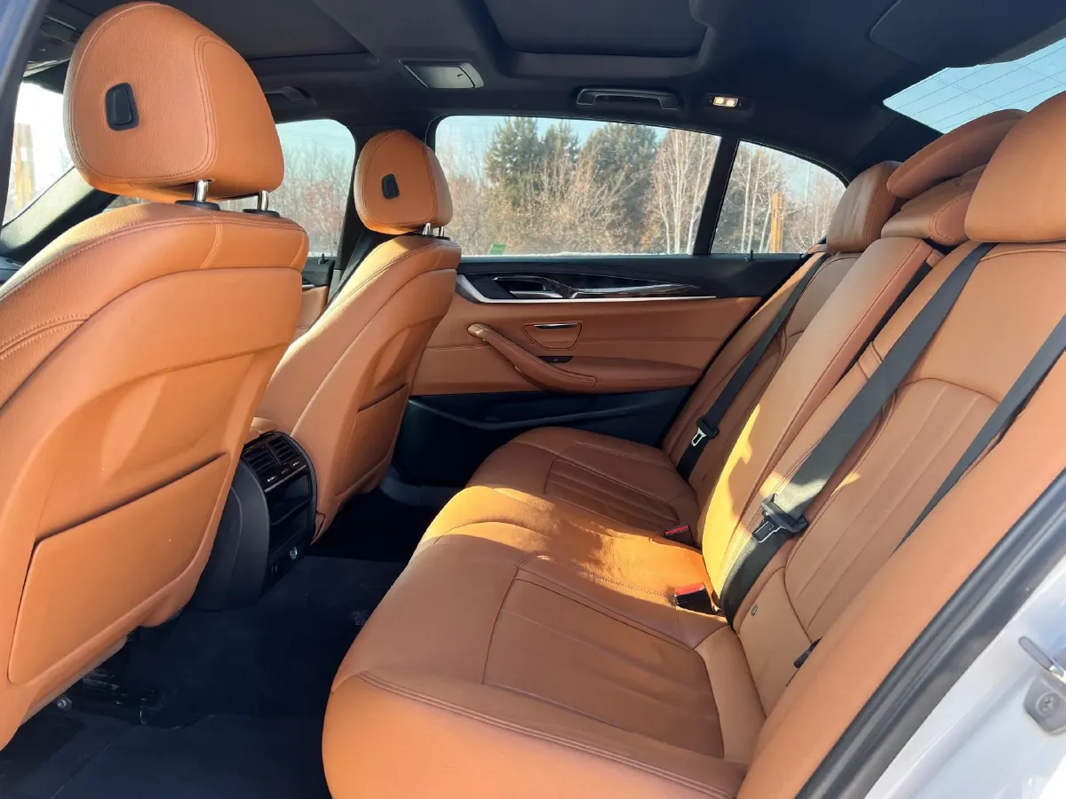 2018 BMW 5 Series 2.0T 252HP L4 8AT,autocango,china used car exporter,china ev exporter,chinese used car exporter,chinese used ev exporter