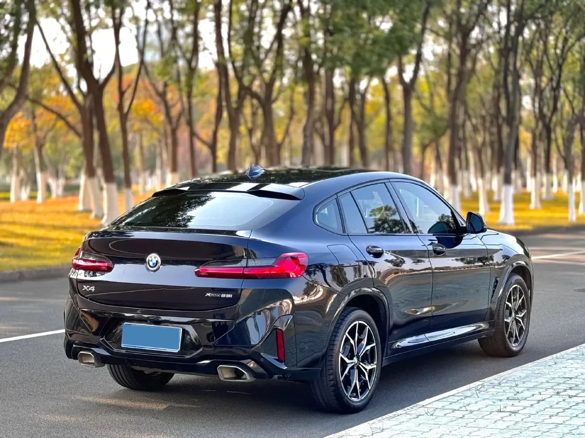 2022 BMW X4 2.0T 245HP L4 8AT,autocango,china used car exporter,china ev exporter,chinese used car exporter,chinese used ev exporter