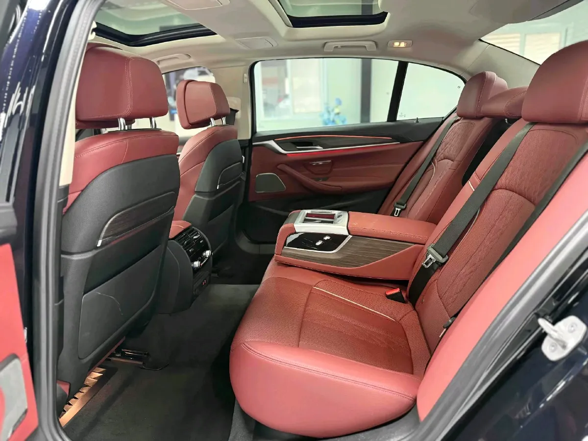 2021 BMW 5 Series 2.0T 252HP L4 8AT,autocango,china used car exporter,china ev exporter,chinese used car exporter,chinese used ev exporter