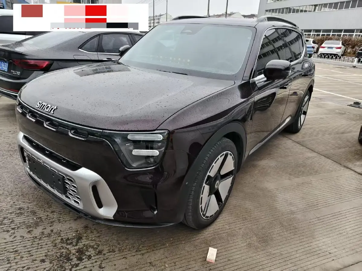 2024 Smart smart Elf 5 BEV 76KWH