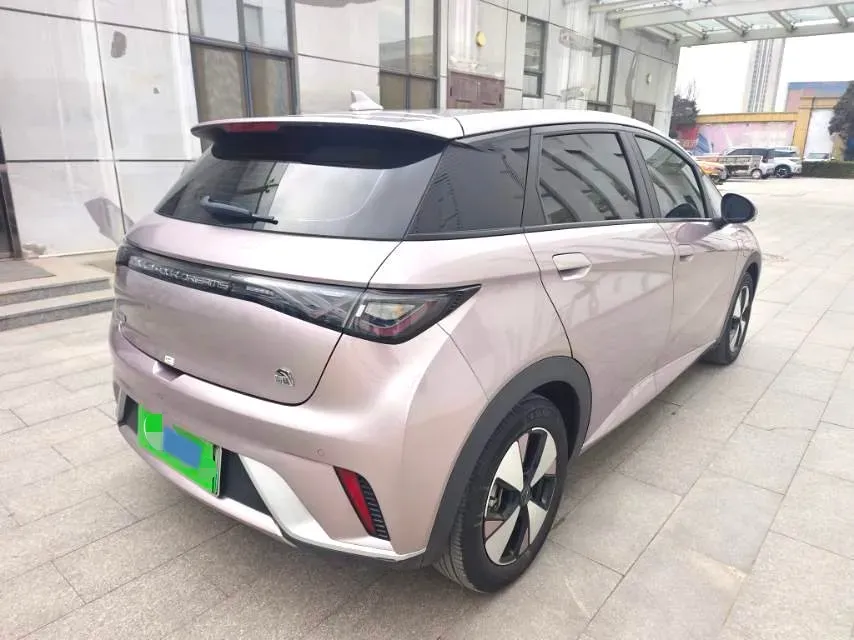 2023 BYD Dolphin BEV 44.928KWH,autocango,china used car exporter,china ev exporter,chinese used car exporter,chinese used ev exporter
