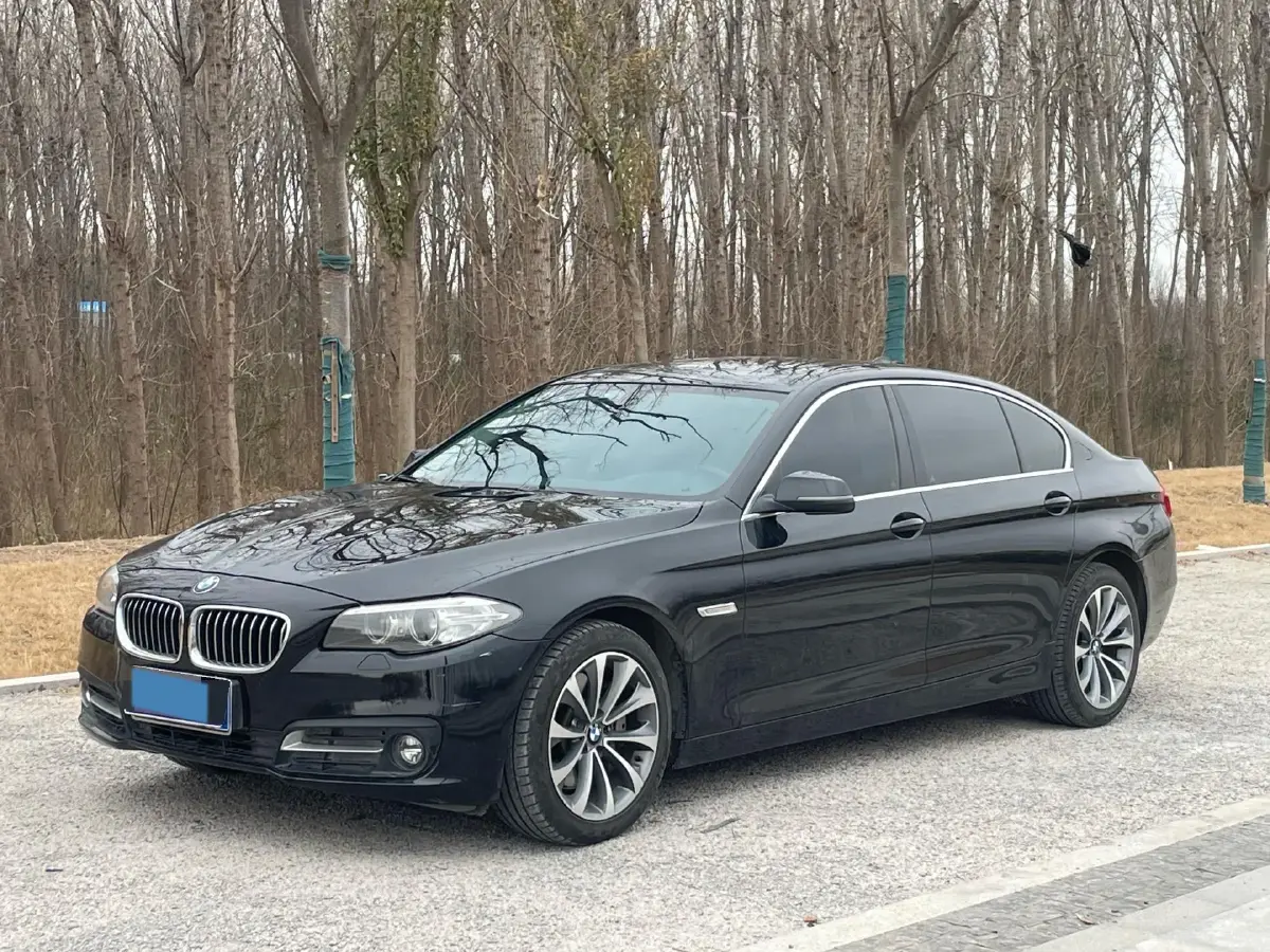 2017 BMW 5 Series 2.0T 245HP L4 8AT