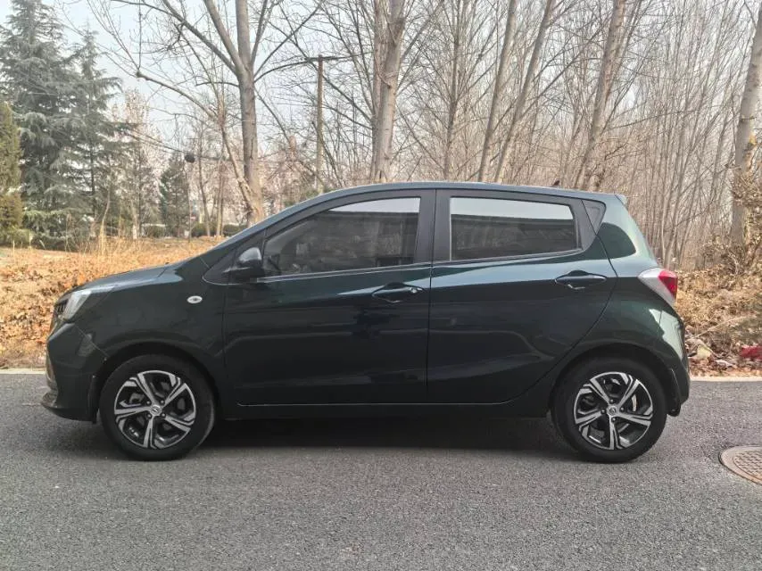 2020 ChangAn BenBen E-Star BEV 32.2KWH,autocango,china used car exporter,china ev exporter,chinese used car exporter,chinese used ev exporter