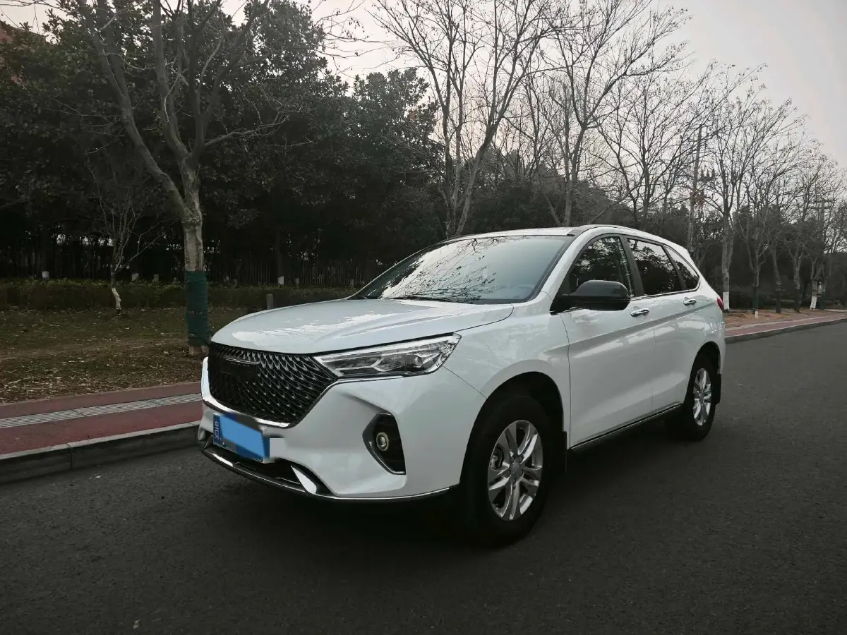 2021 Haval M6 1.5T 150HP L4 7DCT