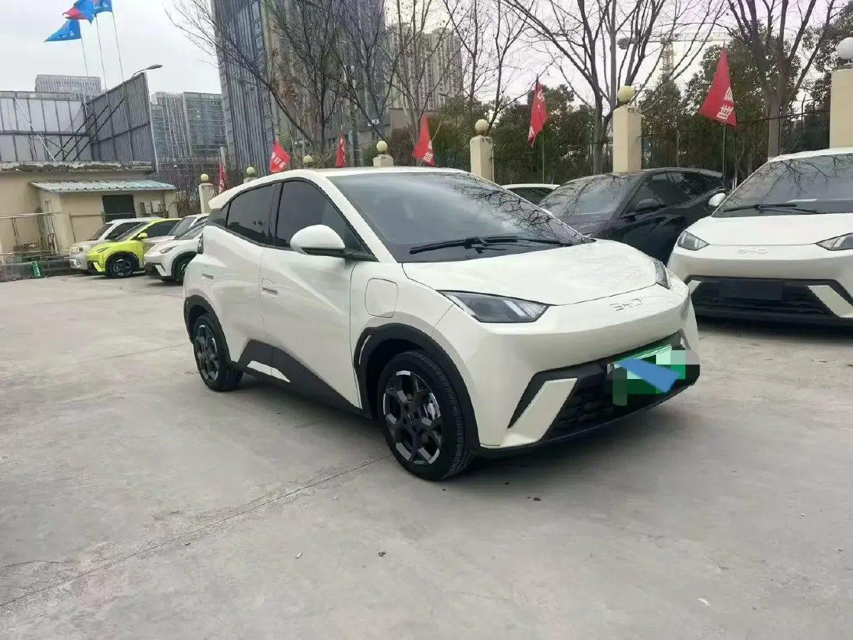 2024 BYD Seagull BEV 30.08KWH,autocango,china used car exporter,china ev exporter,chinese used car exporter,chinese used ev exporter