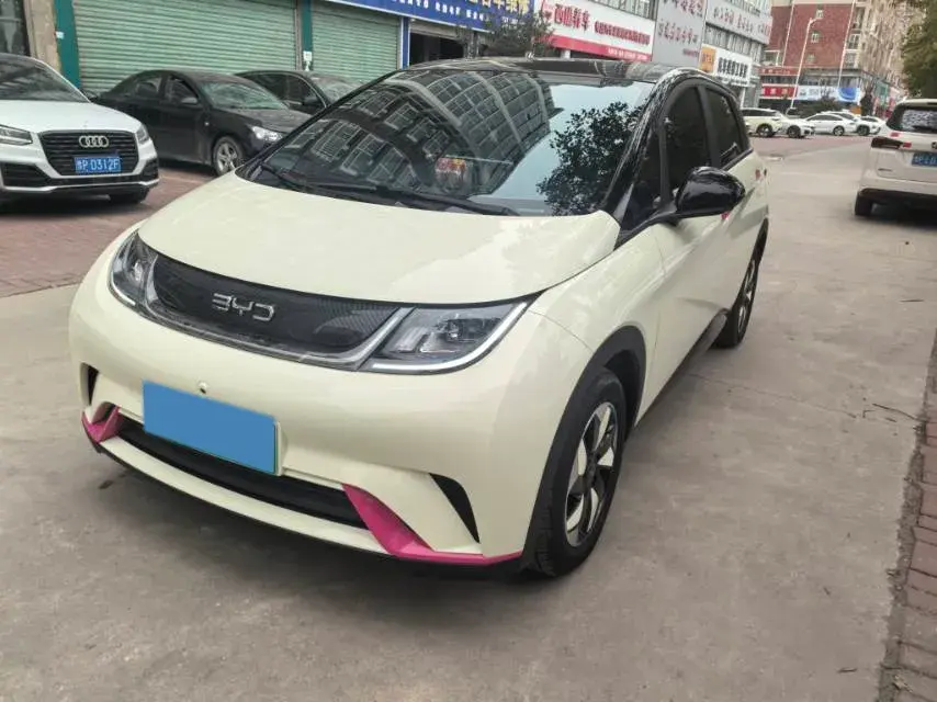 2025 BYD Dolphin BEV 44.928KWH
