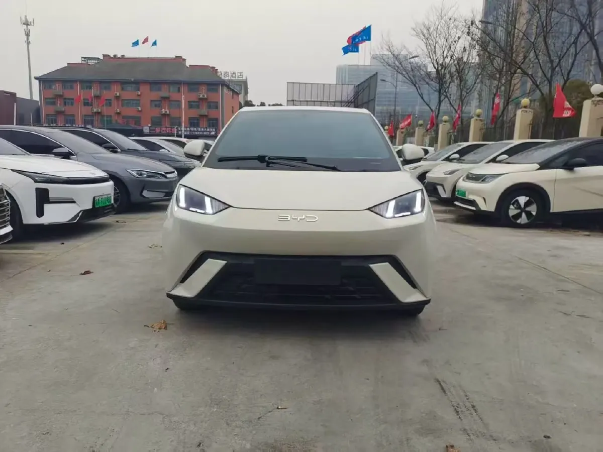 2024 BYD Seagull BEV 30.08KWH,autocango,china used car exporter,china ev exporter,chinese used car exporter,chinese used ev exporter