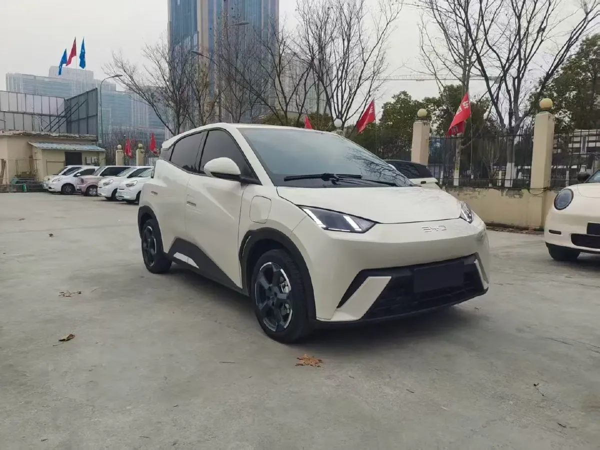 2024 BYD Seagull BEV 30.08KWH,autocango,china used car exporter,china ev exporter,chinese used car exporter,chinese used ev exporter