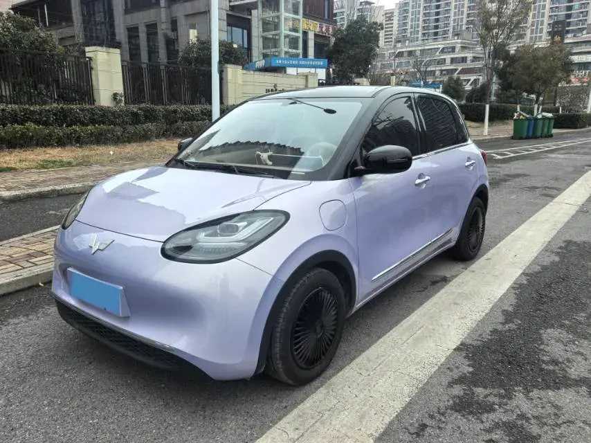 2024 WuLing BinGuo BEV 31.9KWH