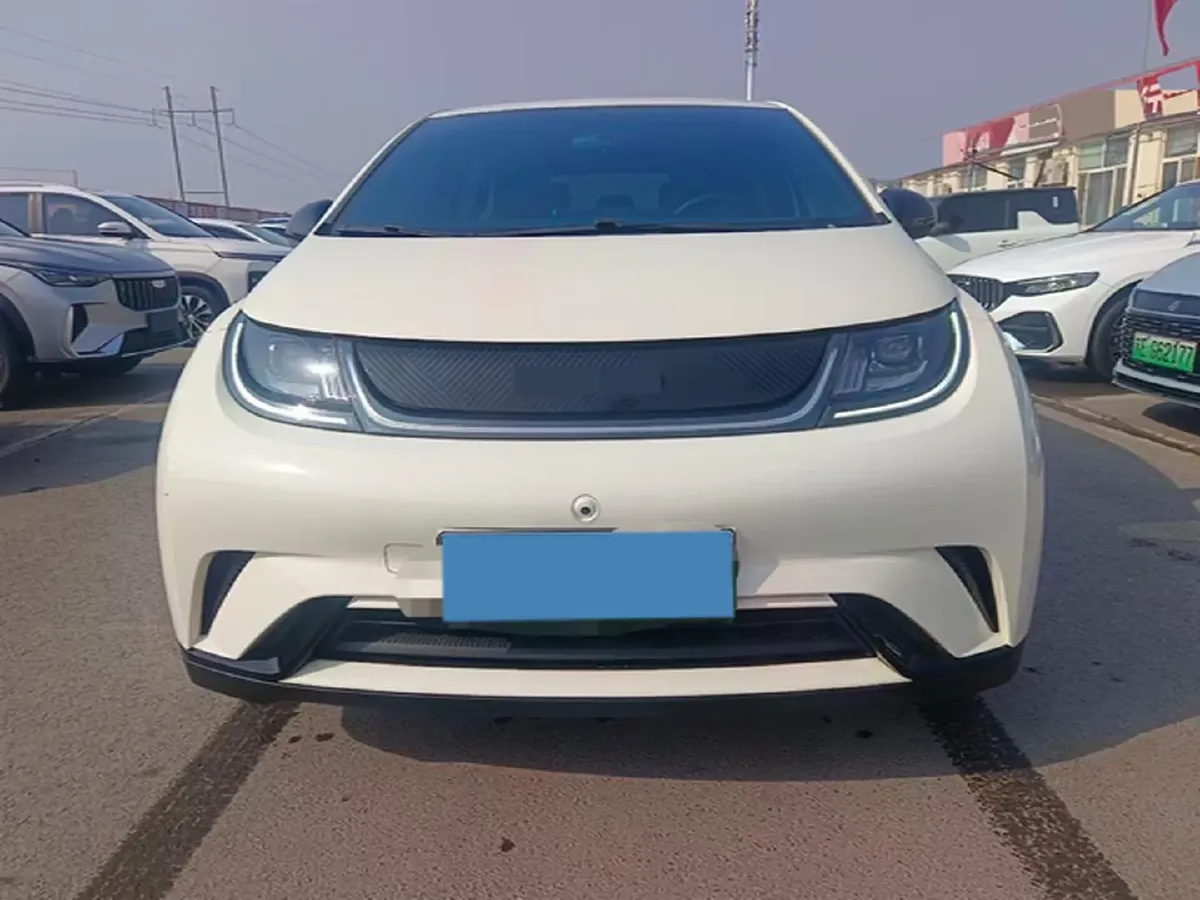 2023 BYD Dolphin BEV 44.928KWH,autocango,china used car exporter,china ev exporter,chinese used car exporter,chinese used ev exporter