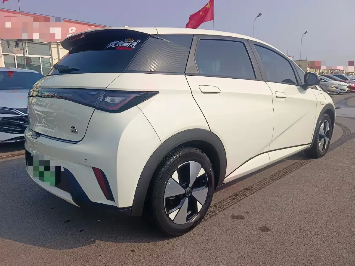 2023 BYD Dolphin BEV 44.928KWH,autocango,china used car exporter,china ev exporter,chinese used car exporter,chinese used ev exporter
