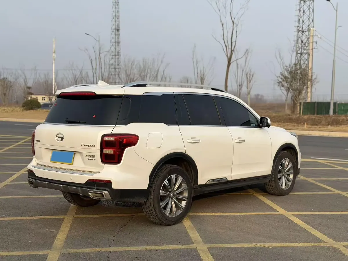 2019 GAC Trumpchi GS8 2.0T 252HP L4 6AT,autocango,china used car exporter,china ev exporter,chinese used car exporter,chinese used ev exporter