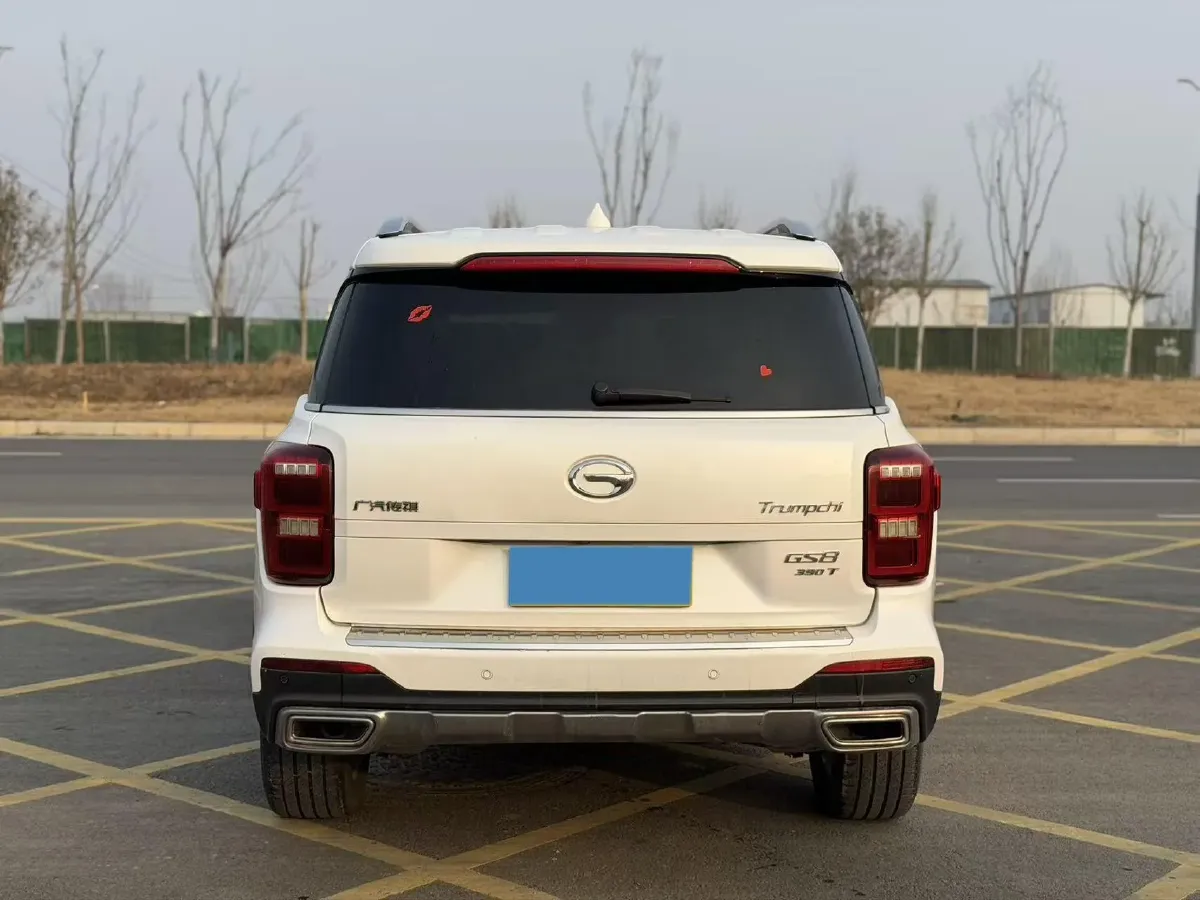 2019 GAC Trumpchi GS8 2.0T 252HP L4 6AT,autocango,china used car exporter,china ev exporter,chinese used car exporter,chinese used ev exporter