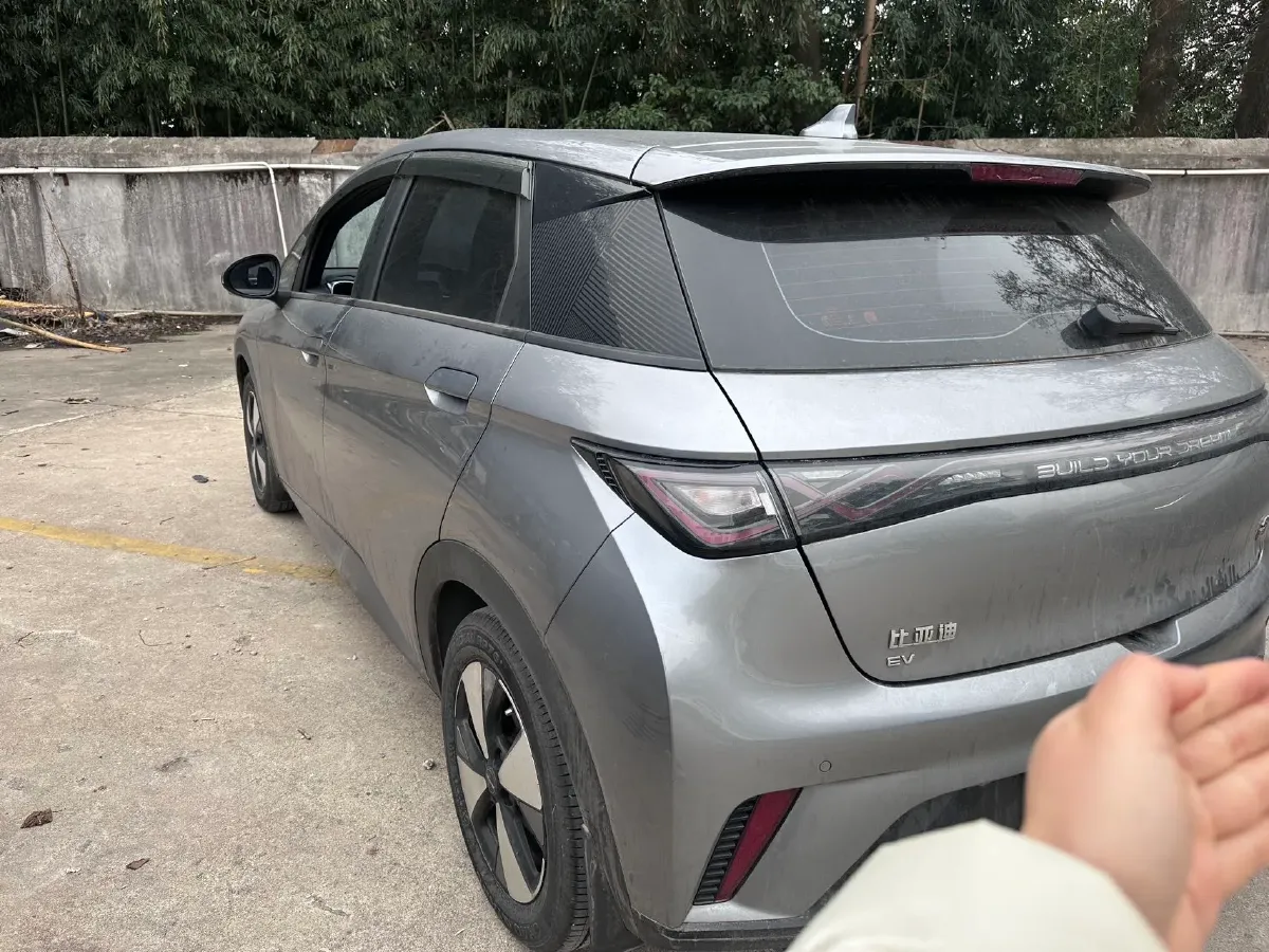 2023 BYD Dolphin BEV 44.928KWH,autocango,china used car exporter,china ev exporter,chinese used car exporter,chinese used ev exporter