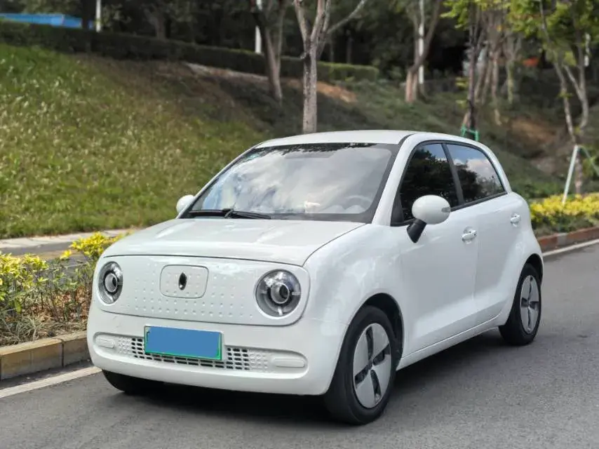 2021 Ora BlackCat BEV 28.5KWH