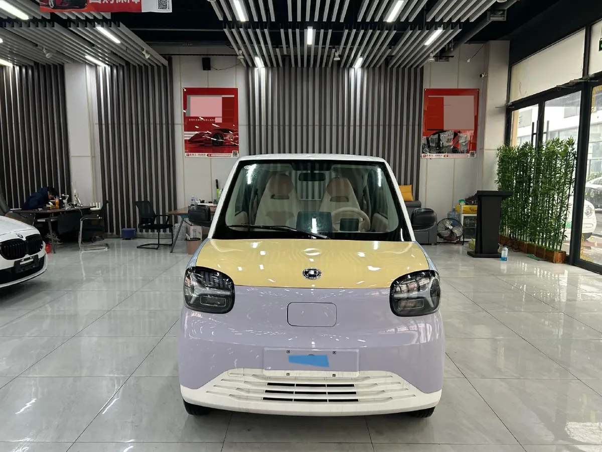 2024 ZD Rainbow BEV 17.3KWH,autocango,china used car exporter,china ev exporter,chinese used car exporter,chinese used ev exporter