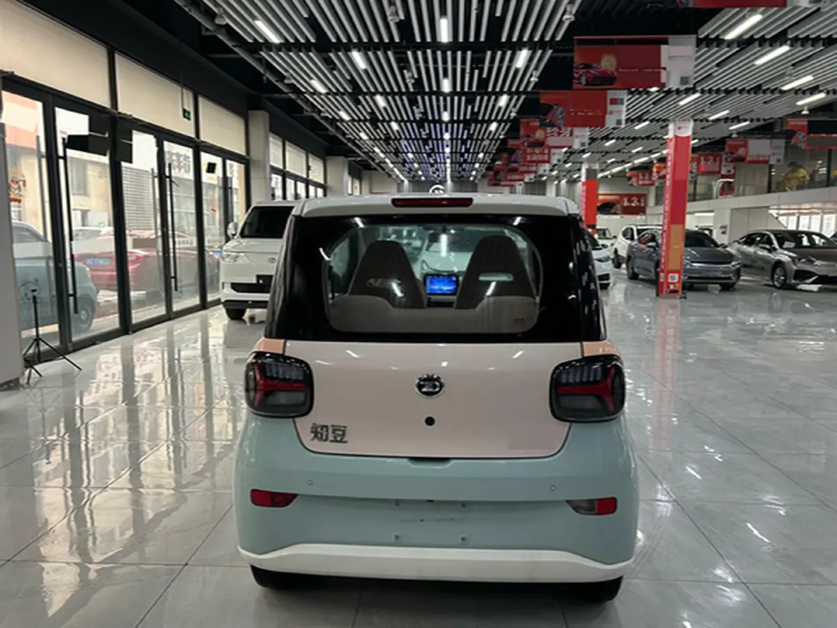 2024 ZD Rainbow BEV 17.3KWH,autocango,china used car exporter,china ev exporter,chinese used car exporter,chinese used ev exporter