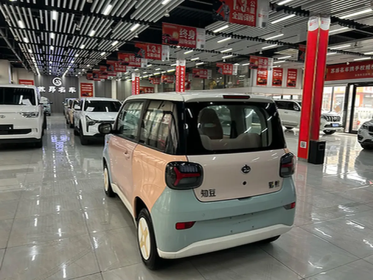 2024 ZD Rainbow BEV 17.3KWH,autocango,china used car exporter,china ev exporter,chinese used car exporter,chinese used ev exporter