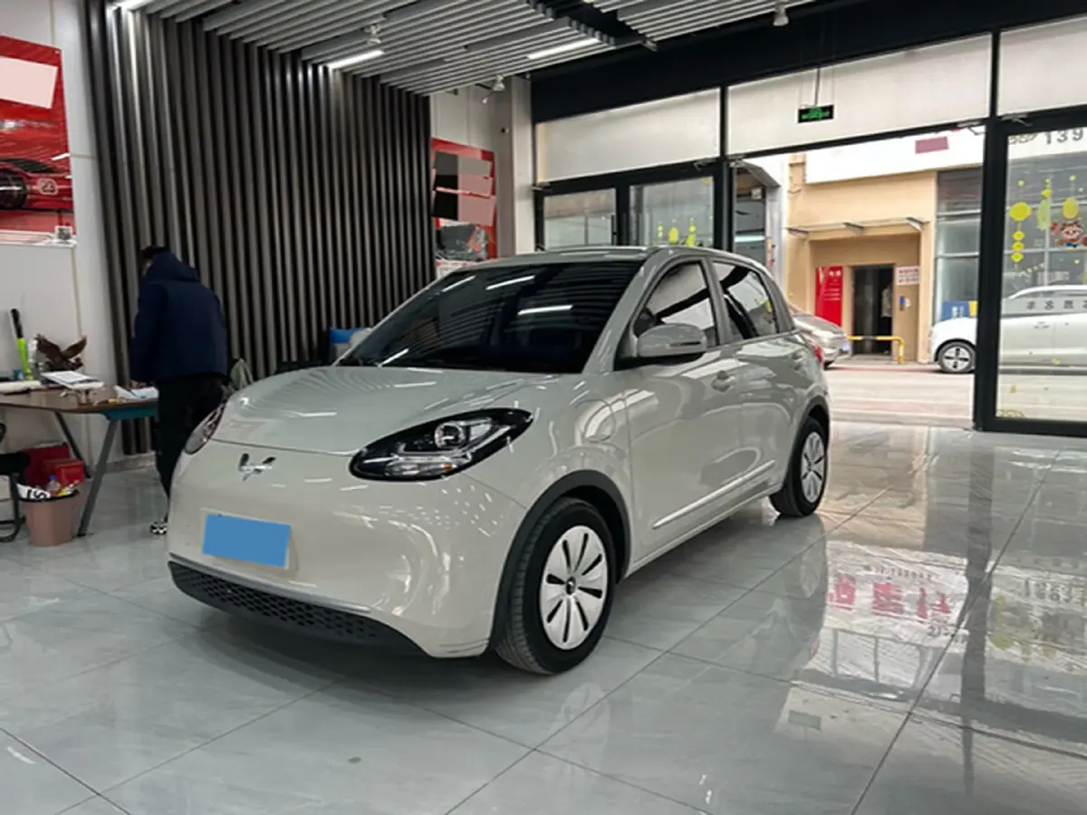 2023 WuLing BinGuo BEV 31.9KWH