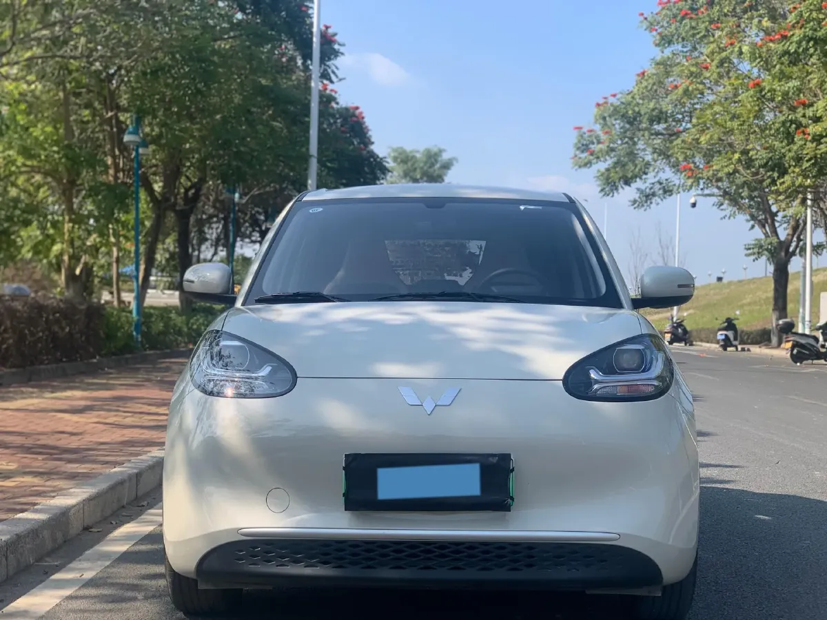 2024 WuLing BinGuo BEV 17.3KWH,autocango,china used car exporter,china ev exporter,chinese used car exporter,chinese used ev exporter