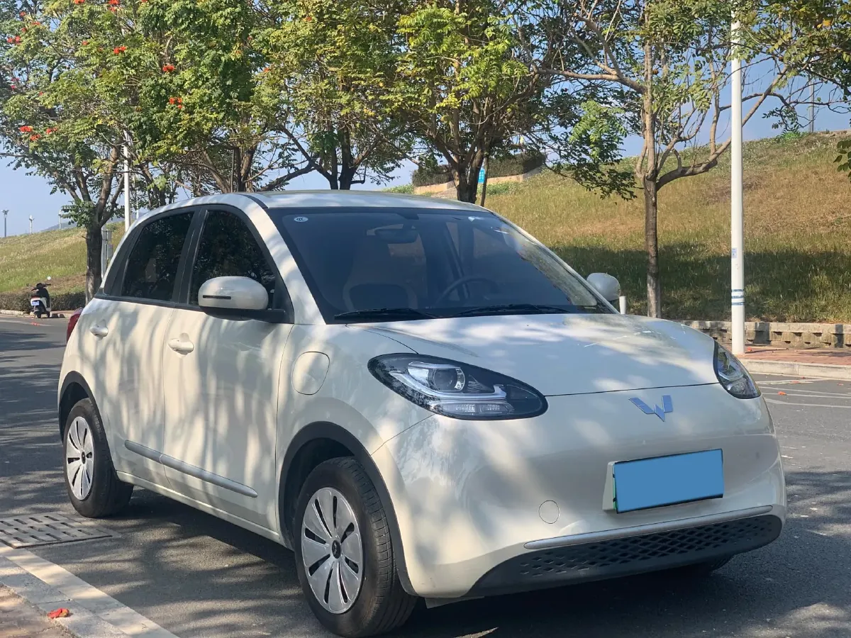 2024 WuLing BinGuo BEV 17.3KWH,autocango,china used car exporter,china ev exporter,chinese used car exporter,chinese used ev exporter