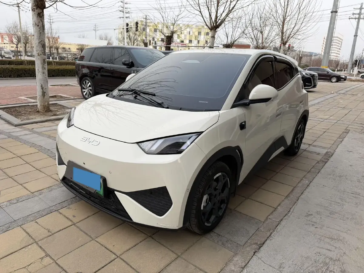 2025 BYD Seagull BEV 30.08KWH