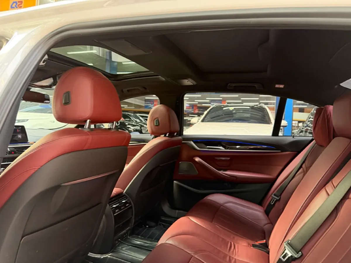 2020 BMW 5 Series 2.0T 252HP L4 8AT,autocango,china used car exporter,china ev exporter,chinese used car exporter,chinese used ev exporter