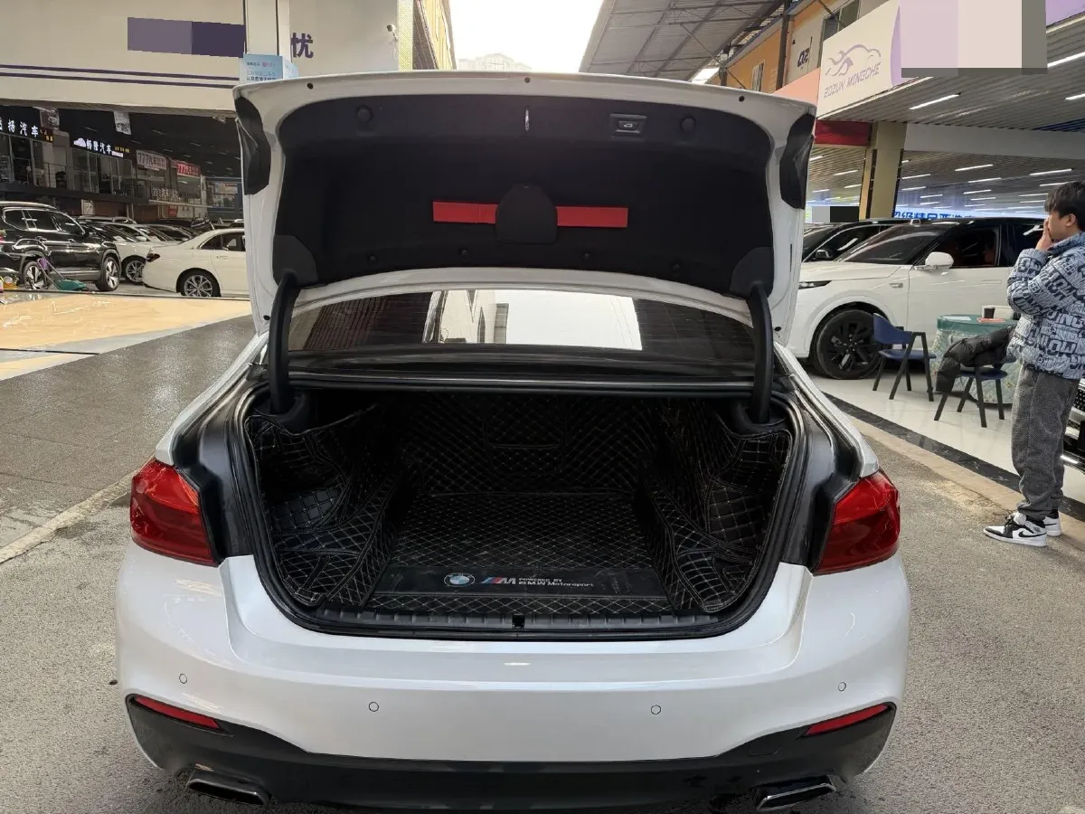 2020 BMW 5 Series 2.0T 252HP L4 8AT,autocango,china used car exporter,china ev exporter,chinese used car exporter,chinese used ev exporter