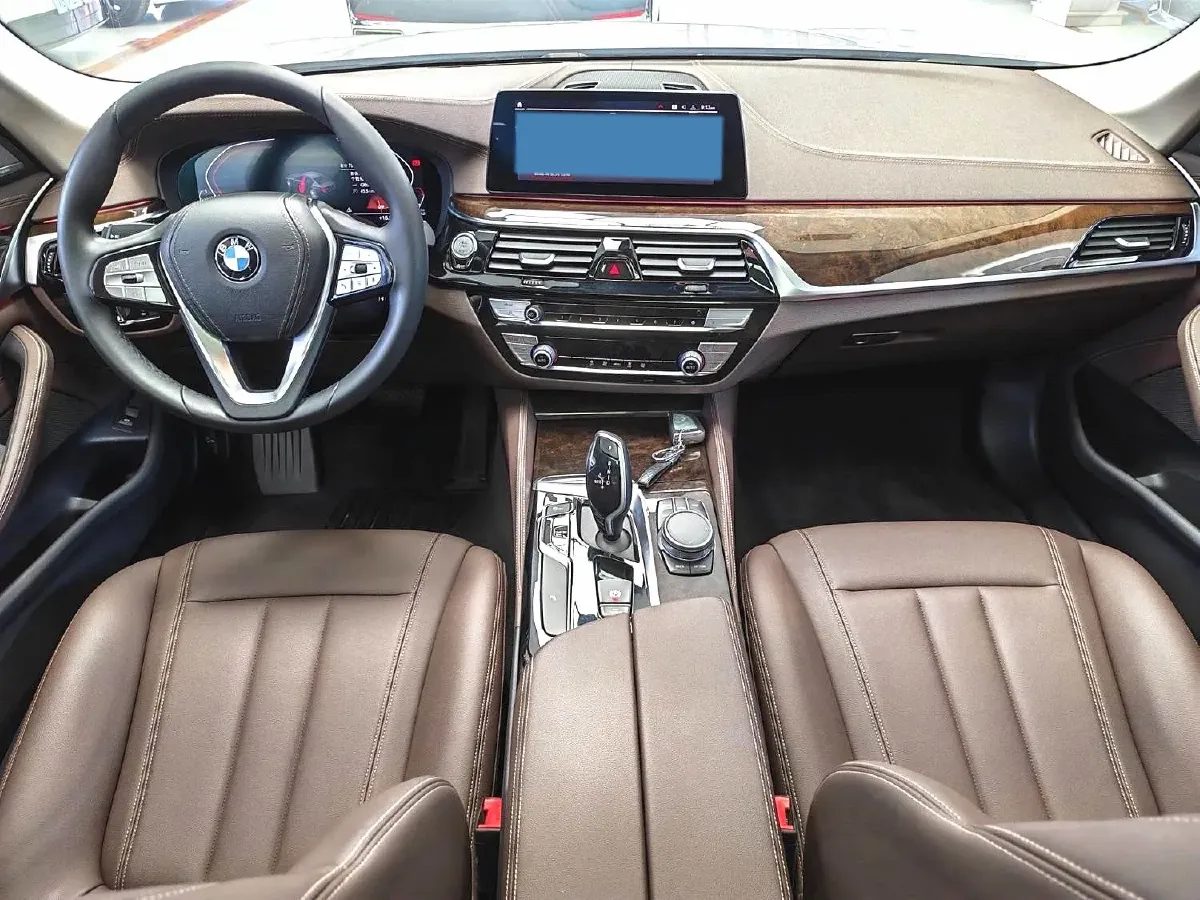 2020 BMW 5 Series 2.0T 184HP L4 8AT,autocango,china used car exporter,china ev exporter,chinese used car exporter,chinese used ev exporter