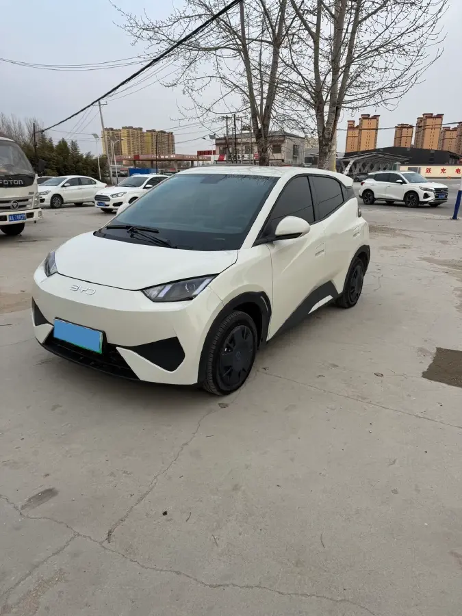 2025 BYD Seagull BEV 30.08KWH