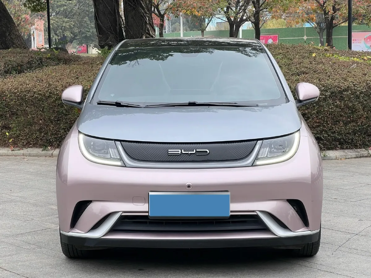 2021 BYD Yuan Pro BEV 50.1KWH,autocango,china used car exporter,china ev exporter,chinese used car exporter,chinese used ev exporter