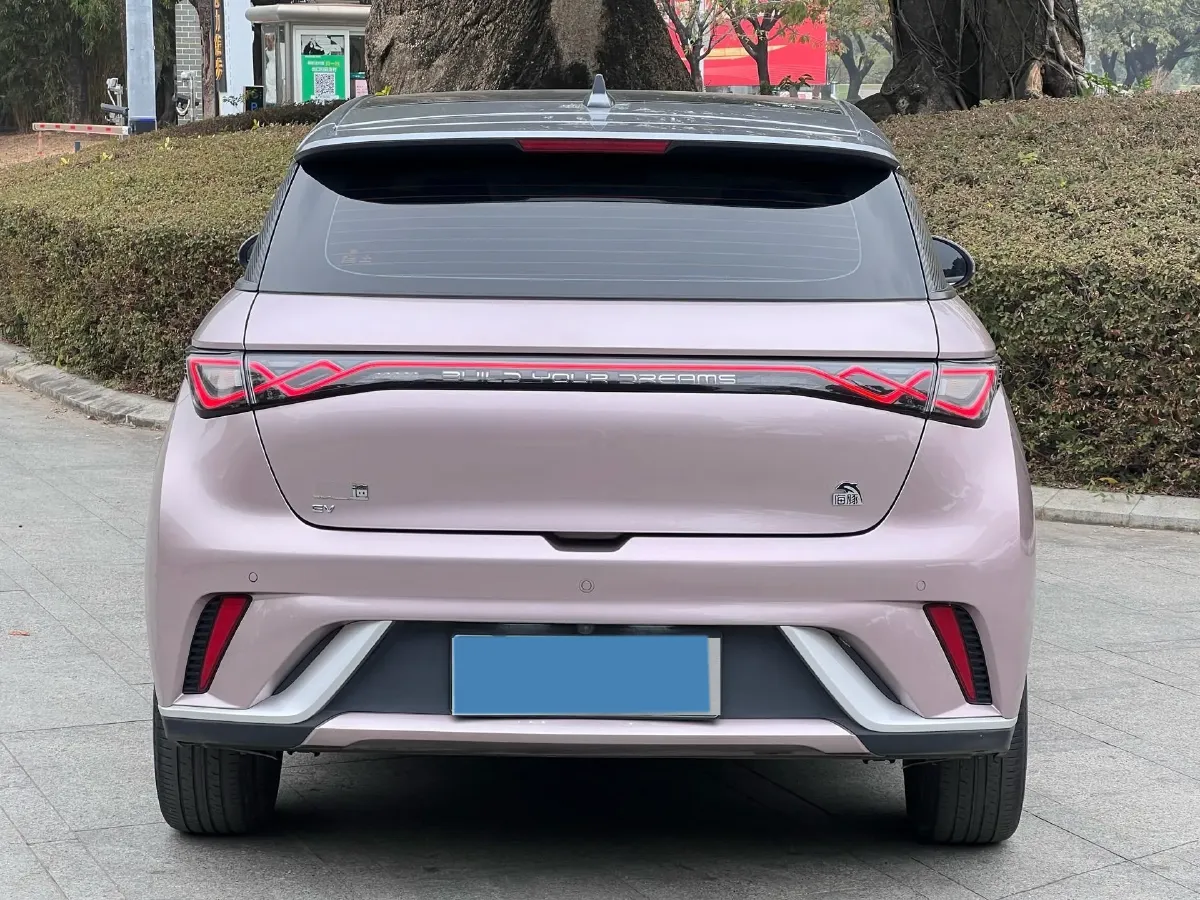 2021 BYD Yuan Pro BEV 50.1KWH,autocango,china used car exporter,china ev exporter,chinese used car exporter,chinese used ev exporter