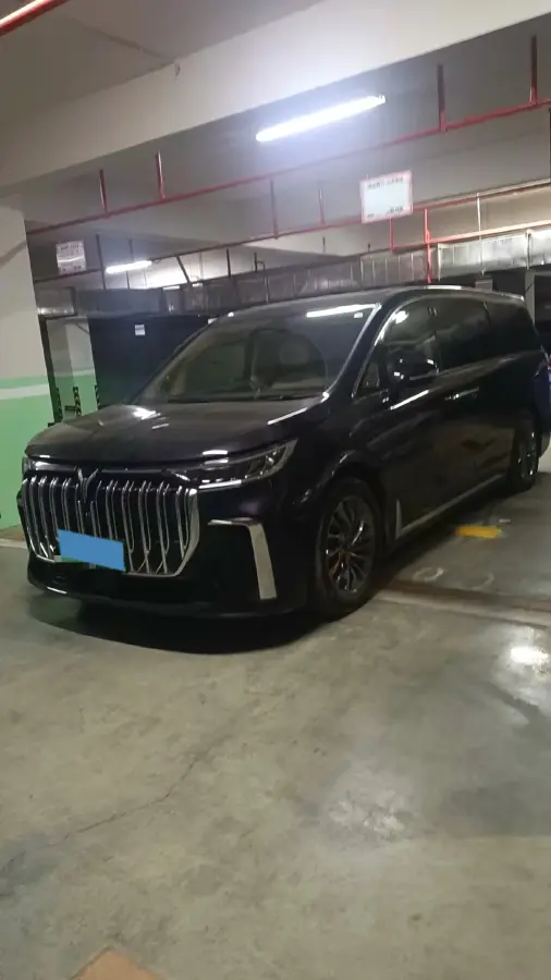 2022 Voyah Dream 1.5T 136HP L4 PHEV 25.57KWH