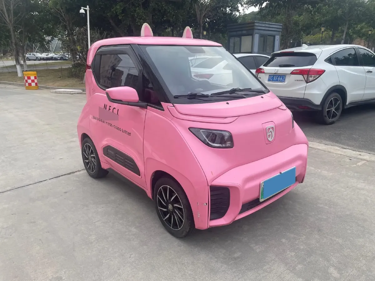 2019 ChangAn Kaicene RuiXing EM80 BEV 46.25KWH,autocango,china used car exporter,china ev exporter,chinese used car exporter,chinese used ev exporter