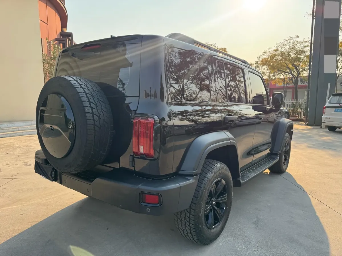 2021 Tank 300 2.0T 227HP L4 8AT,autocango,china used car exporter,china ev exporter,chinese used car exporter,chinese used ev exporter