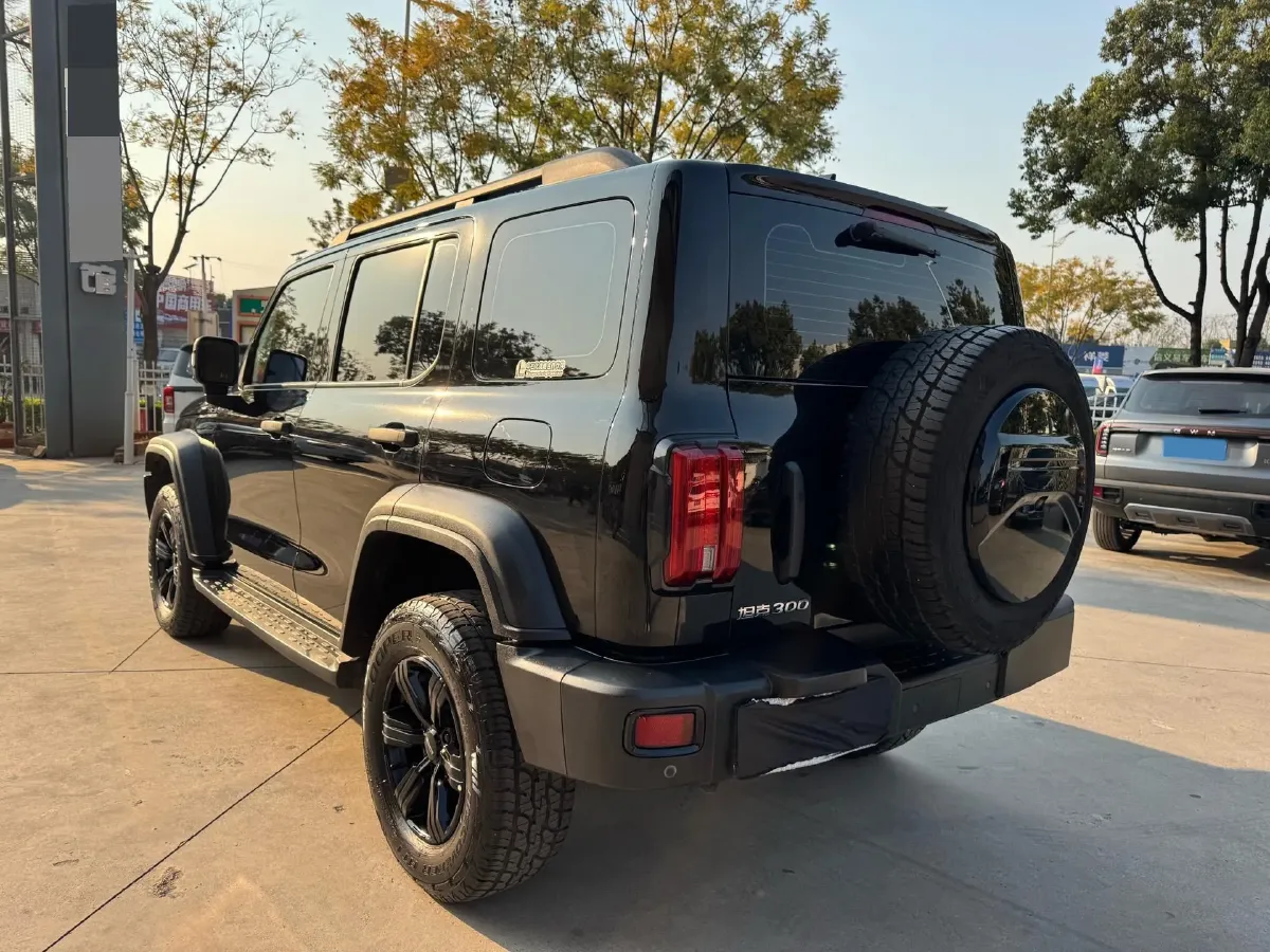 2021 Tank 300 2.0T 227HP L4 8AT,autocango,china used car exporter,china ev exporter,chinese used car exporter,chinese used ev exporter