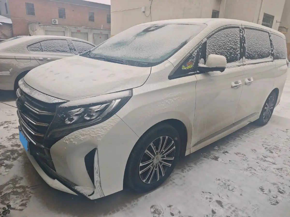 2021 GAC Trumpchi M8 2.0T 252HP L4 8AT